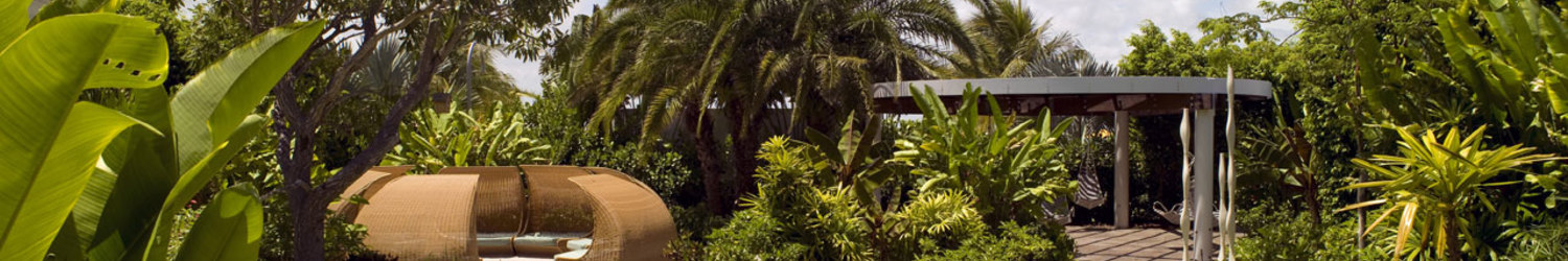 tropical hotel destination – The Standard – point one percent